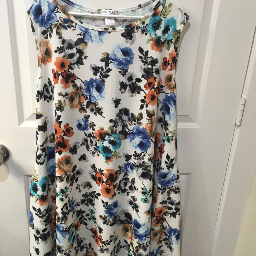 Honey&Lace floral trapeze dress 3xl EUC